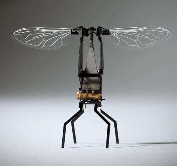 abeja-robot