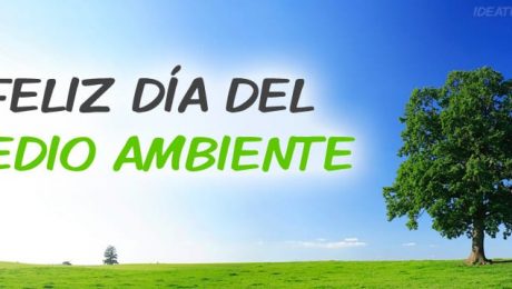 Dia-Medio-Ambiente