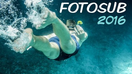 fotosub-concurso-fotografía-submarina