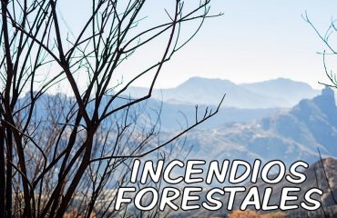 Incendio-forestal-tejeda