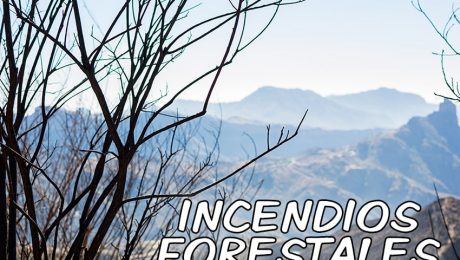 Incendio-forestal-tejeda