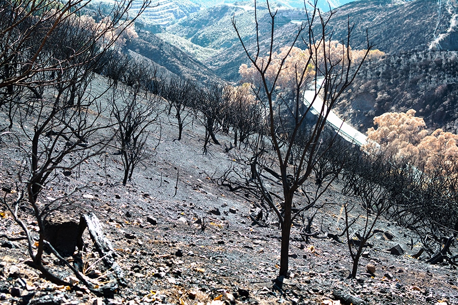 Incendio-forestal-tejeda