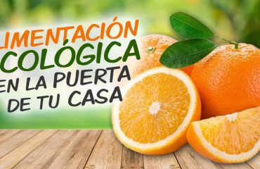 alimentacion-ecologica