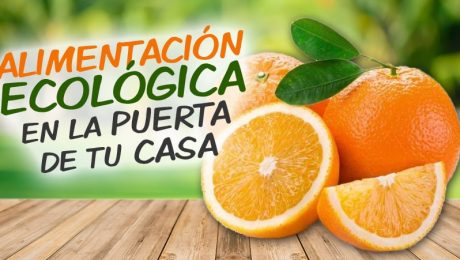 alimentacion-ecologica